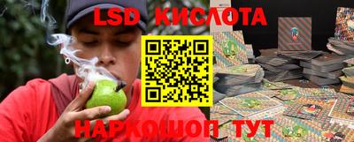 spice Краснознаменск